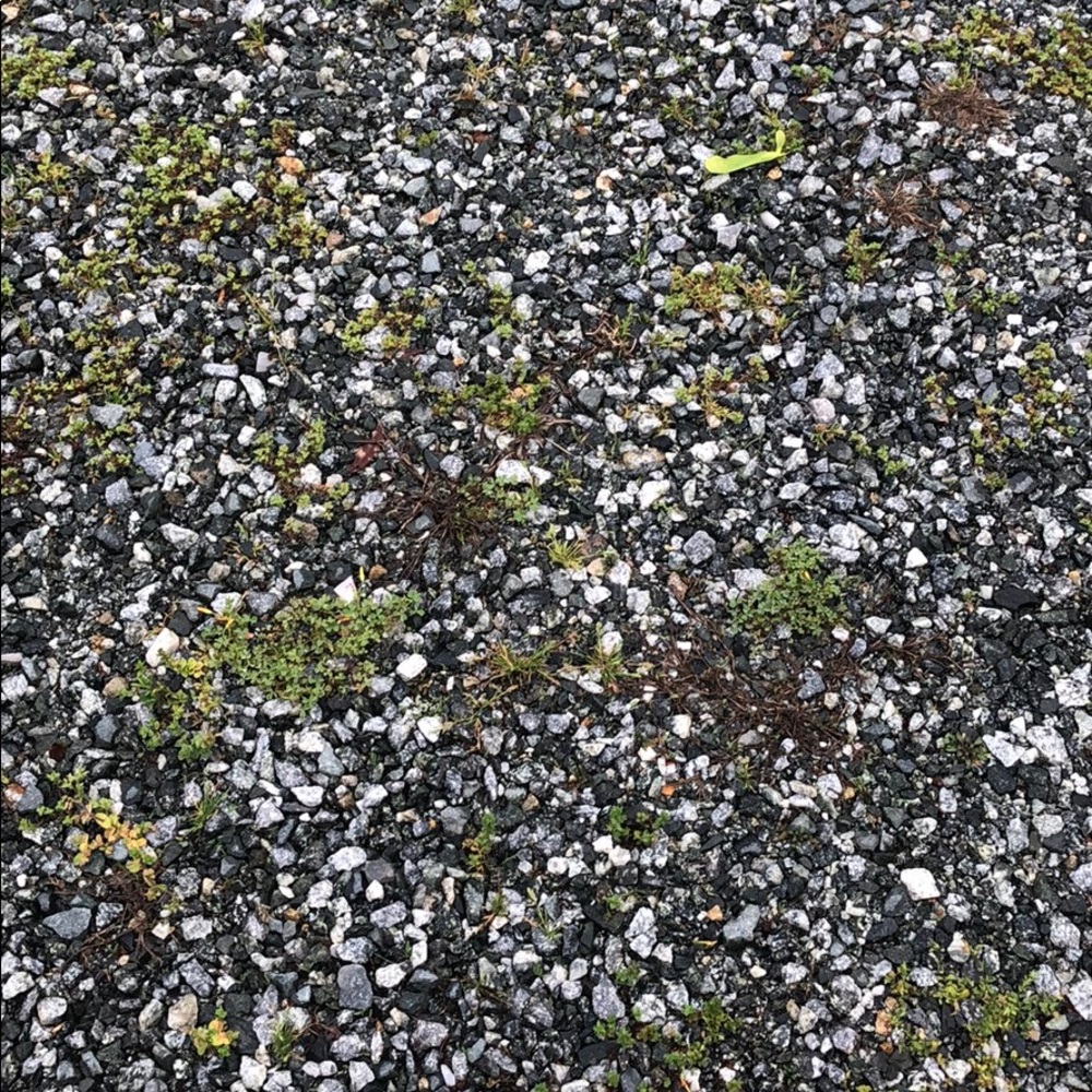 Meet your Posher, Kyela